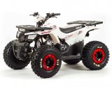  Motoland ATV 150 WILD