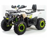  Motoland ATV WILD Track Lux 200