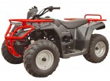  Irbis ATV250