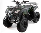  Motax ATV Grizlik 200 LUX