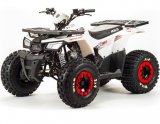 Квадроцикл Motoland ATV 125 WILD