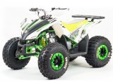 Квадроцикл Motoland ATV 125 COYOTE